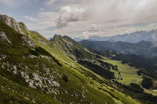 alpine-meadow