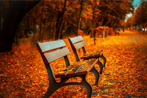 fall-bench